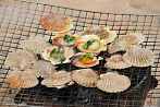 Asia; Vietnam; clams; shell