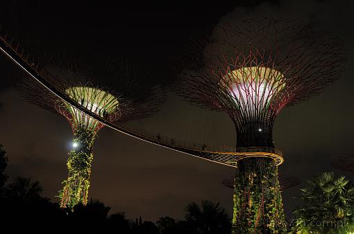 Asia; Singapore; Gardens by the Bay