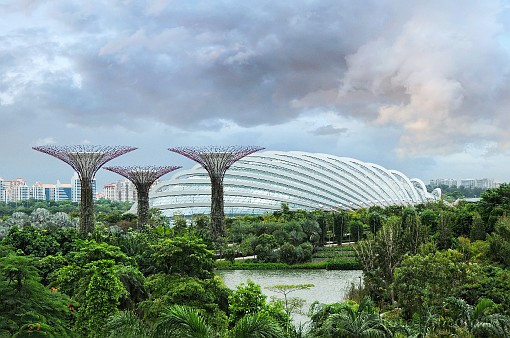 Asia; Singapore; Gardens by the Bay