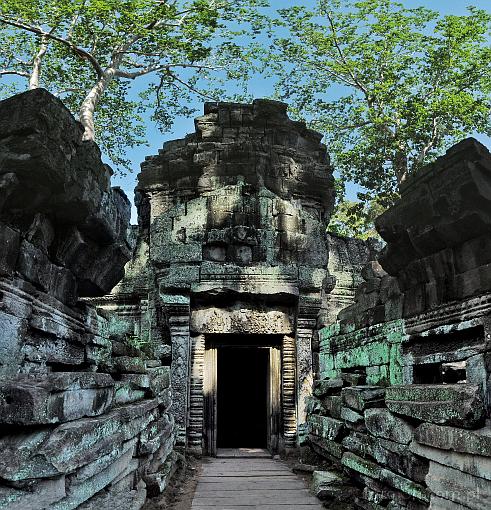 Asia; Cambodia; Angkor; Ta Prohm; Ta Prohm Temple; temple
