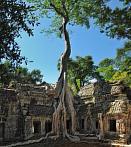 1BJE-0310; 4074 x 4560 pix; Asia, Cambodia, Angkor, Ta Prohm, Ta Prohm Temple, temple