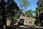 1BJE-0340; 4288 x 2848 pix; Asia, Cambodia, Angkor, Ta Prohm, Ta Prohm Temple, temple