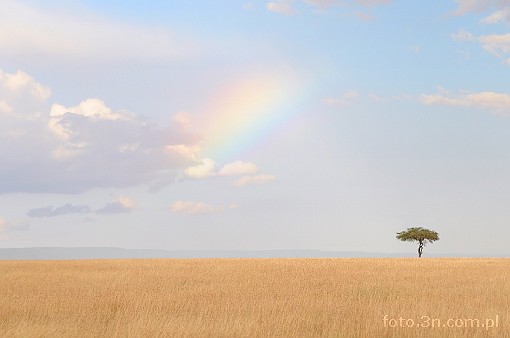 Africa; Kenya; rainbow; savannah