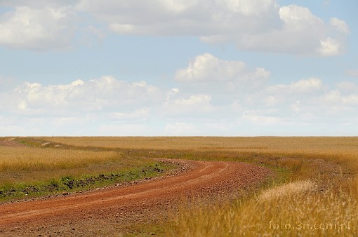 Africa; Kenya; savannah; road