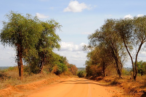 Africa; Kenya; road