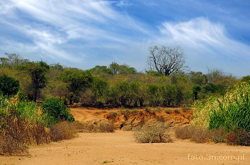 Africa; Kenya; riverbed