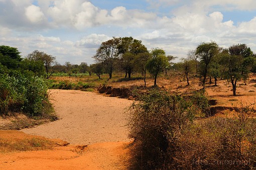 Africa; Kenya; riverbed