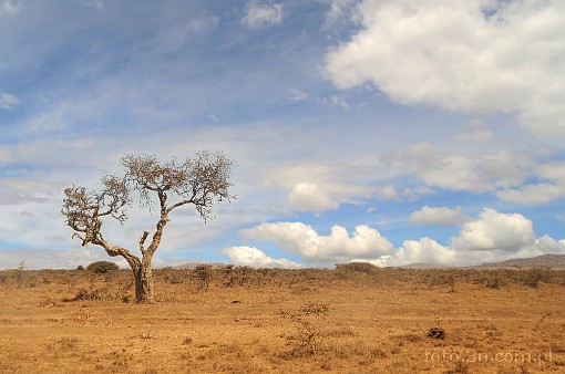 Africa; Kenya