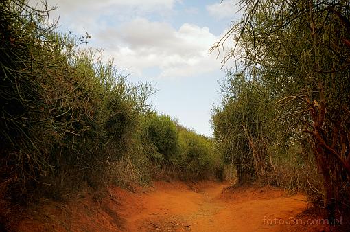 Africa; Kenya; road
