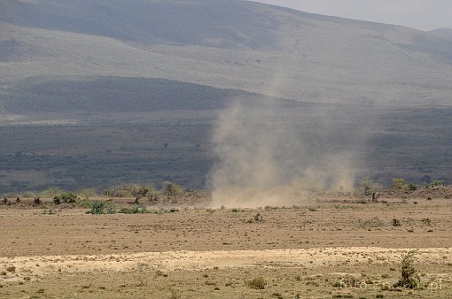 Africa; Kenya; whirl dust