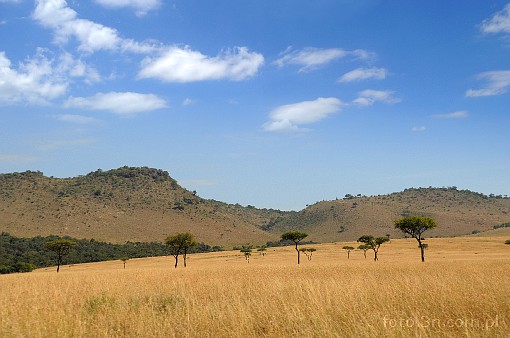 Africa; Kenya; Masai Mara; mountains; savannah
