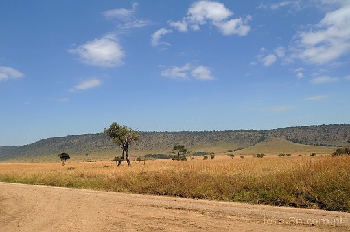 Africa; Kenya; Masai Mara; mountains; savannah; road