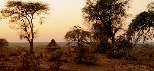Africa; Kenya; sunset; bush