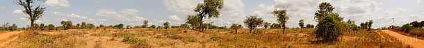 1CA1-1140; 19504 x 2245 pix; Africa, Kenya, bush