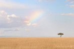 1CA1-0007; 3507 x 2331 pix; Africa, Kenya, rainbow, savannah