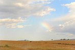 1CA1-0008; 4103 x 2726 pix; Africa, Kenya, rainbow, savannah