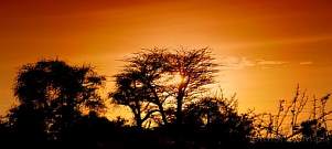 Africa; Kenya; sunset