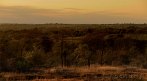 1CA1-0960; 4232 x 2361 pix; Africa, Kenya, sunset, bush