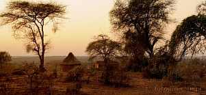 1CA1-0970; 4287 x 1987 pix; Africa, Kenya, sunset, bush