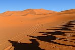 Africa; Morocco; Sahara; camel; desert; caravan; shadow