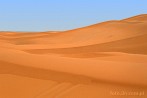 1CD1-1010; 4288 x 2848 pix; Africa, Morocco, Sahara, desert, dune, sand