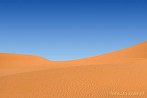1CD1-1290; 4288 x 2848 pix; Africa, Morocco, Sahara, desert, dune, sand
