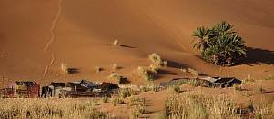 1CD1-3010; 6782 x 2957 pix; Africa, Morocco, Sahara, desert, dune, sand, palm tree, camp, oasis
