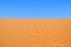 1CD1-1250; 4288 x 2848 pix; Africa, Morocco, Sahara, desert, sand