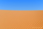 1CD1-1260; 4288 x 2848 pix; Africa, Morocco, Sahara, desert, sand