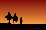 Africa; Morocco; Sahara; desert; sunset; camel; caravan