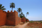 1CE3-0400; 4089 x 2716 pix; Africa, Morocco, Marrakech, palm, palm tree, Agdal, Agdal garden