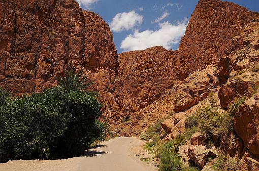 Africa; Morocco; Atlas; mountains; Todrha gorge; Todra gorge; Todgha gorge