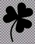 shamrock; trefoil; clover; symbol; happiness; prosperity