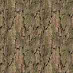 3003-0900; 512 x 512 pix; wood, bark