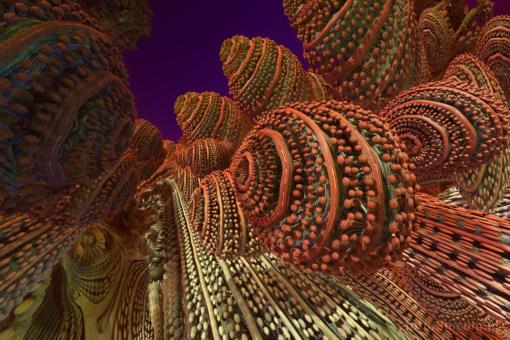 abstraction; fractal