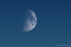 moon; first quarter; blue sky